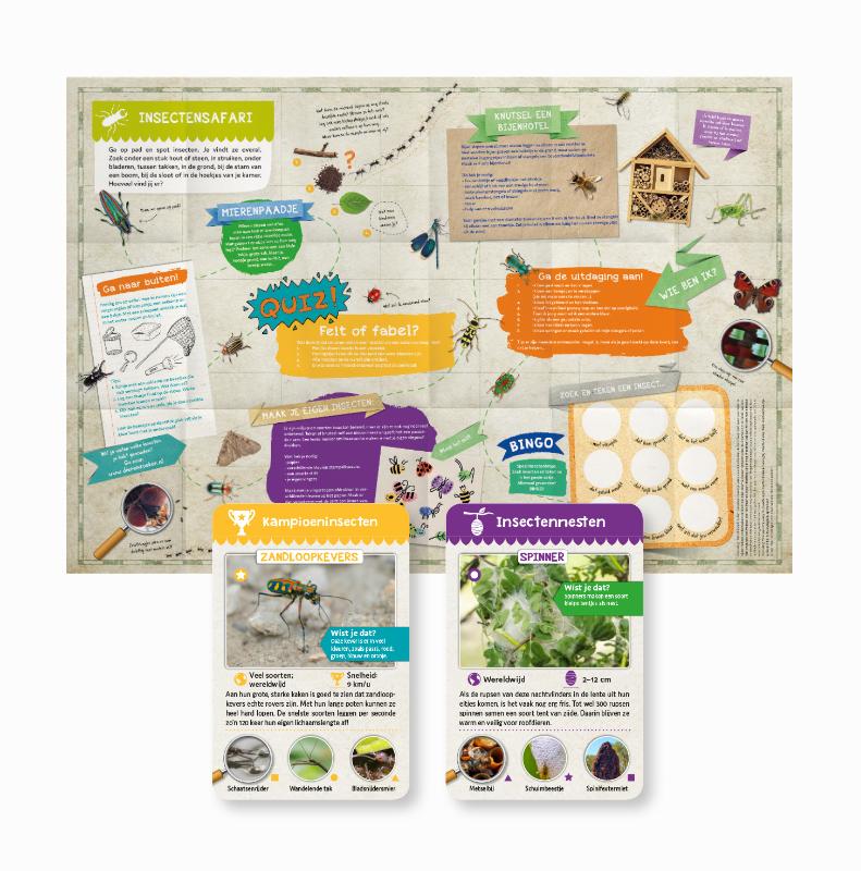 Achterkant van INSECTEN - kwartetspel met posterboek