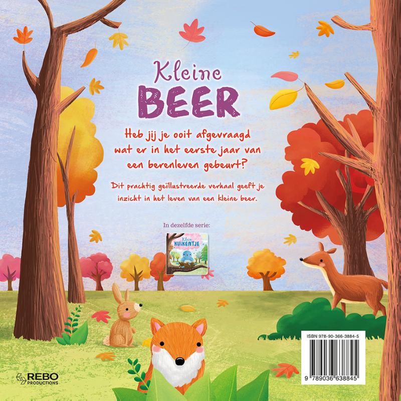 Achterkant van Kleine beer