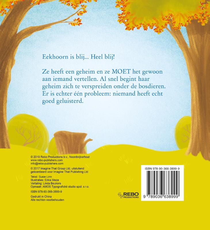 Achterkant van Het grote geheim van Eekhoorn