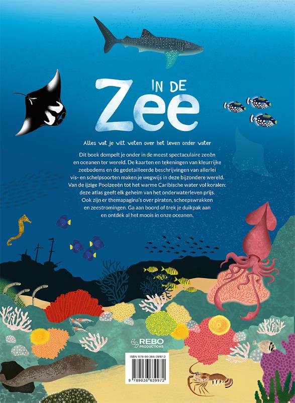 Achterkant van In de zee