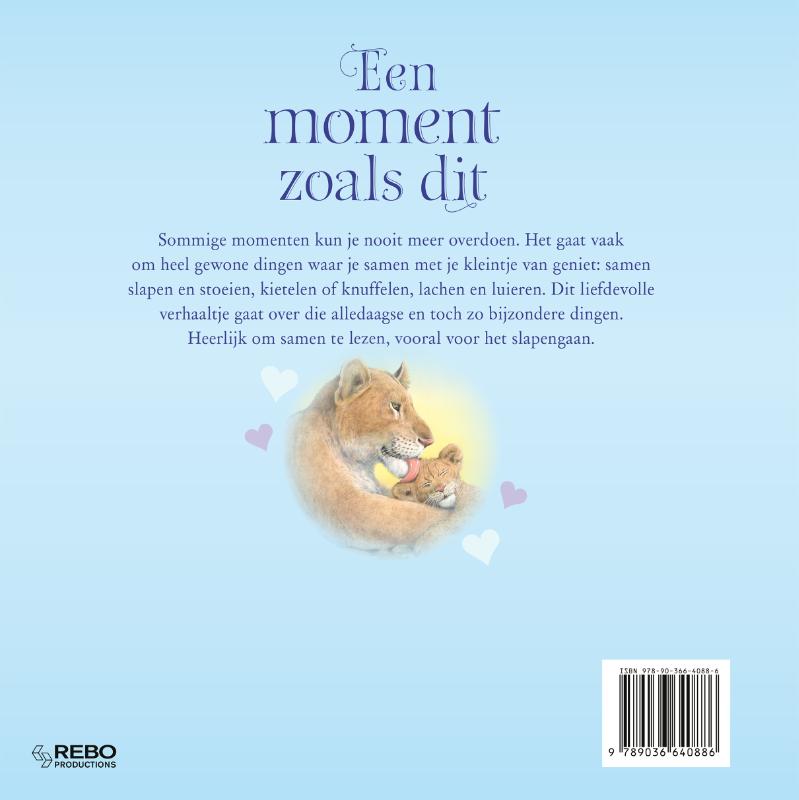 Achterkant van Een moment zoals dit