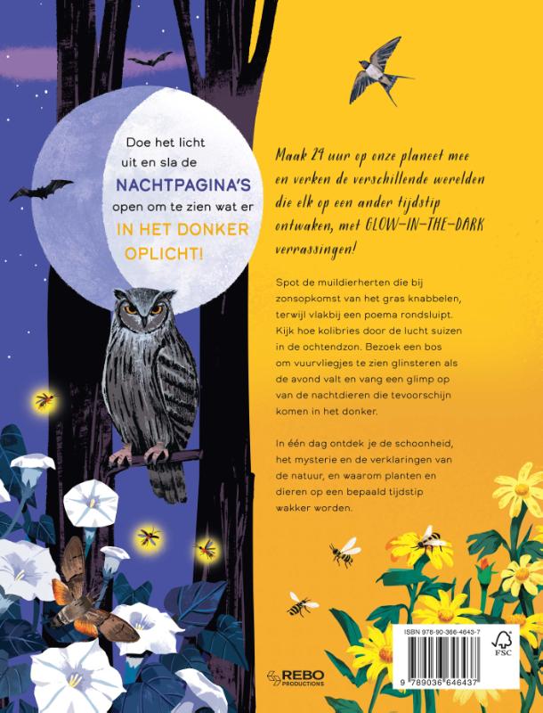 Achterkant van Dag en nacht