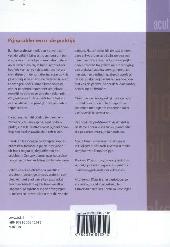Achterkant van Pijnproblemen in de praktijk