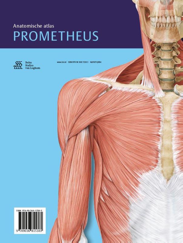 Achterkant van Algemene anatomie en bewegingsapparaat