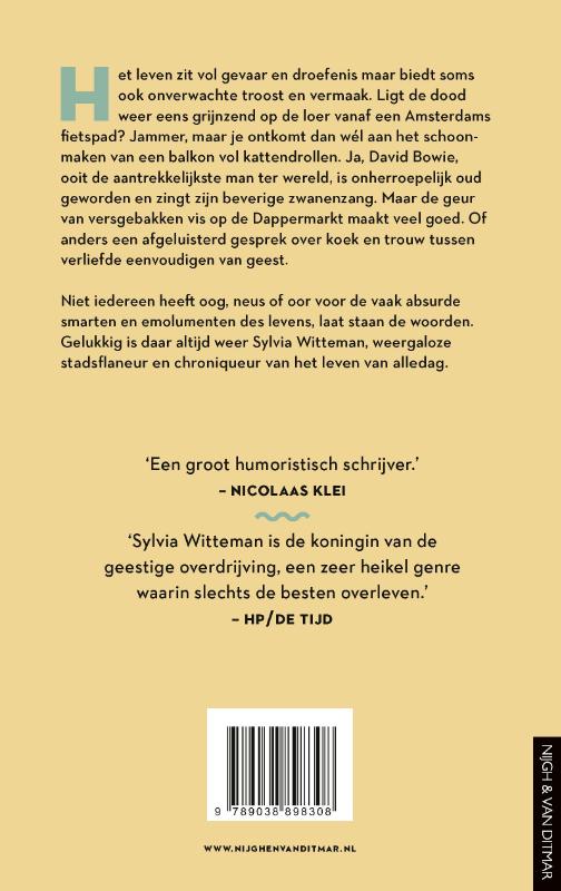 Achterkant van De troost van een warm visje