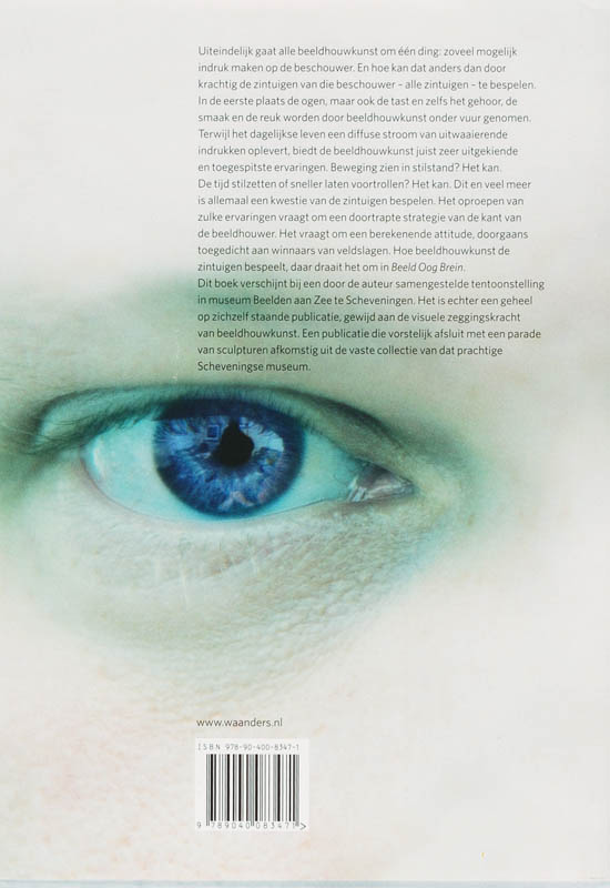 Achterkant van Beeld Oog Brein