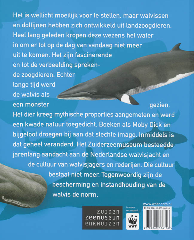Achterkant van De Walvis