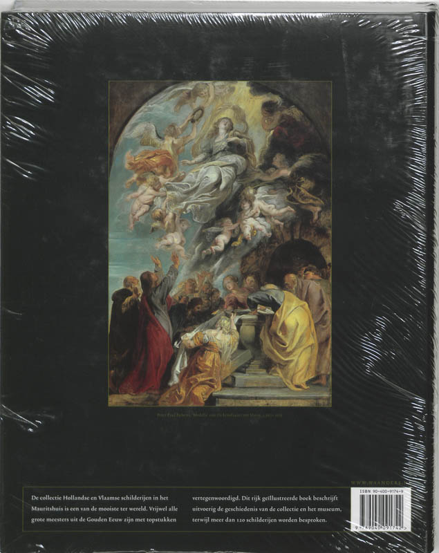 Achterkant van Mauritshuis vorstelijke verzameling