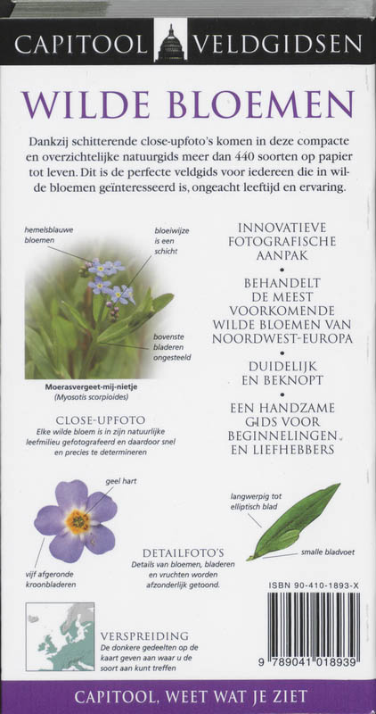 Achterkant van Wilde bloemen