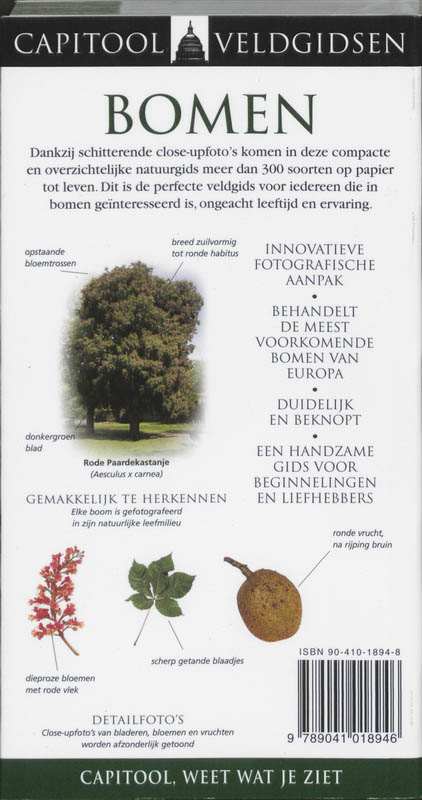 Achterkant van Bomen