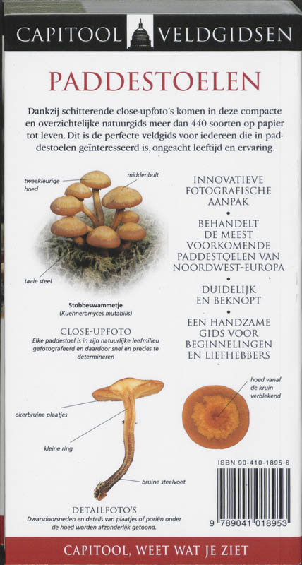 Achterkant van Paddestoelen