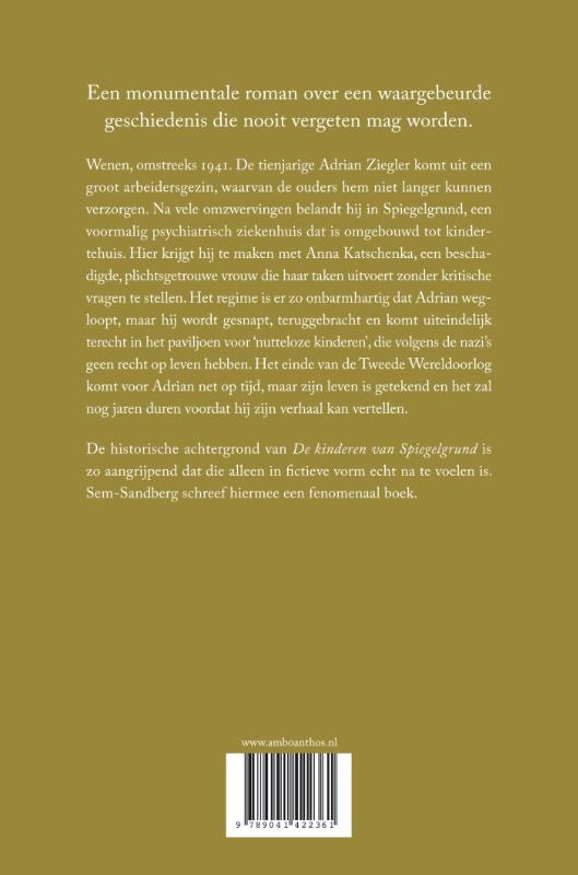 Achterkant van De kinderen van Spiegelgrund