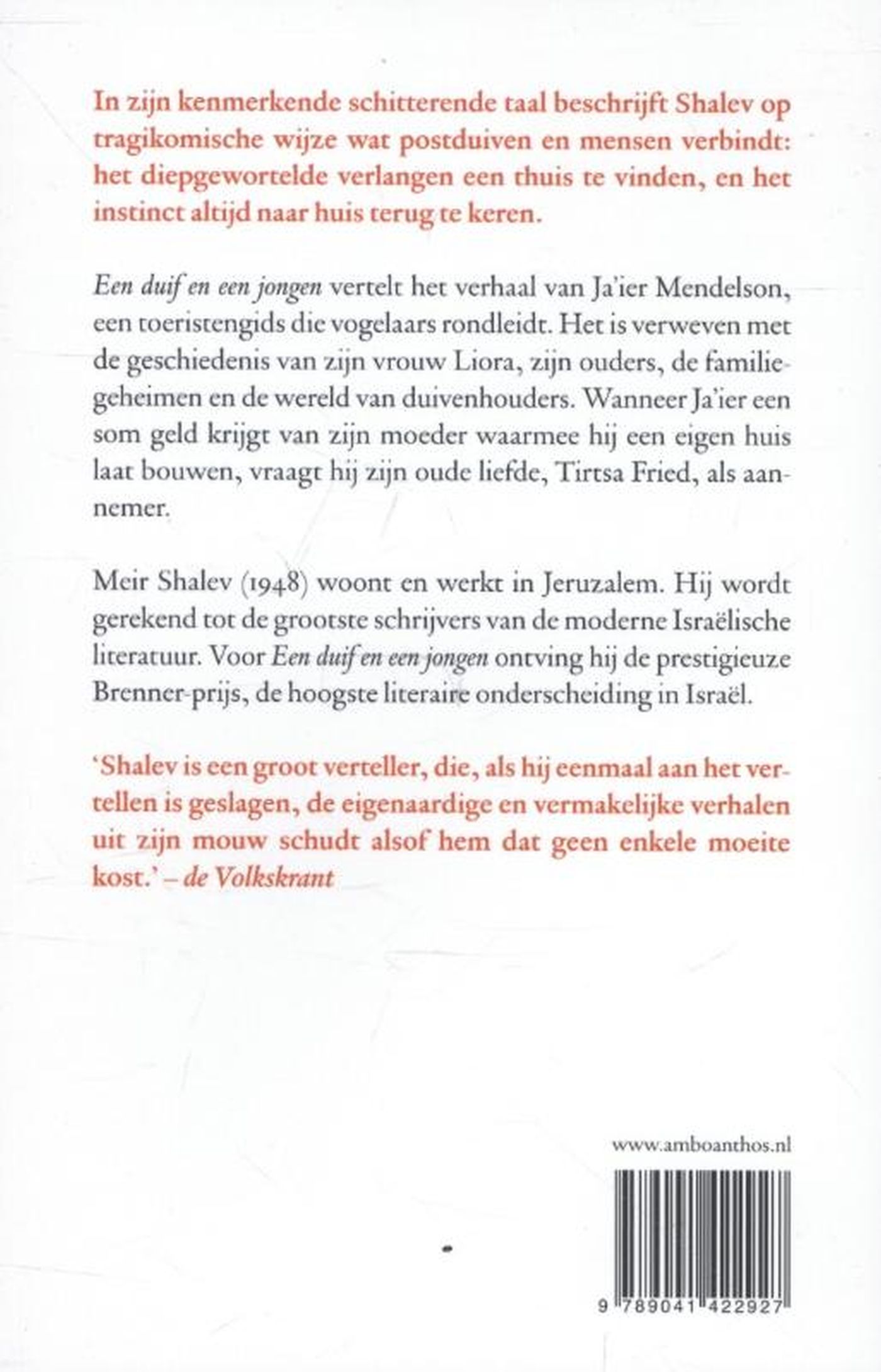 Achterkant van Een duif en een jongen