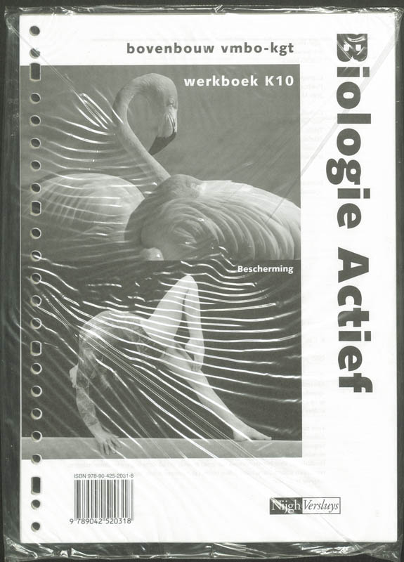 Achterkant van Werkboek K10