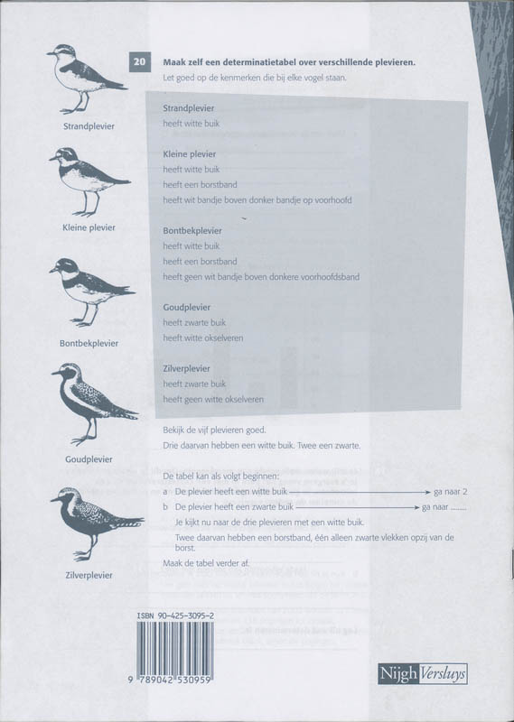 Achterkant van Werkboek