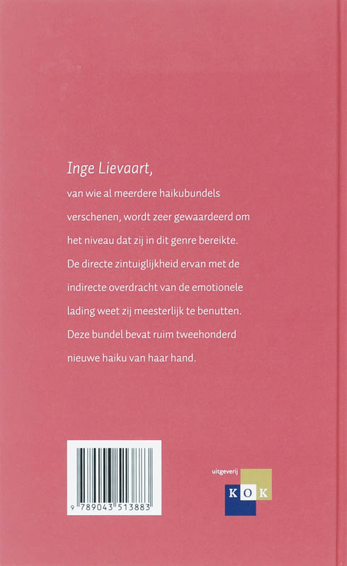 Achterkant van De binnenkant van het zien