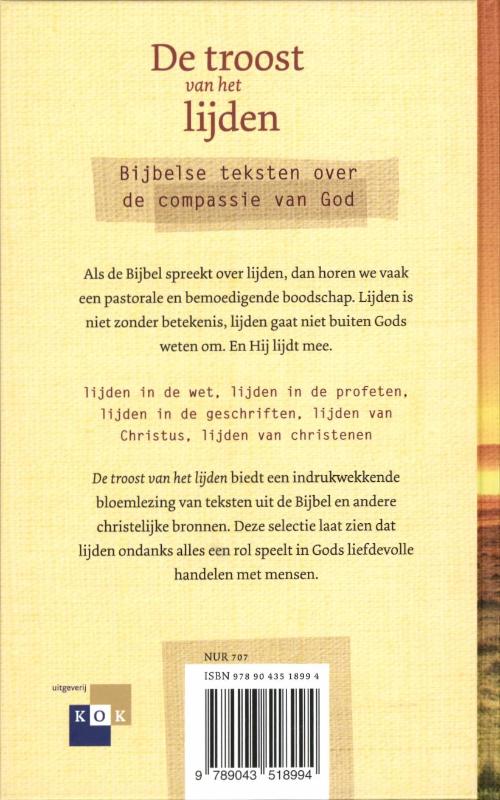 Achterkant van De troost van het lijden