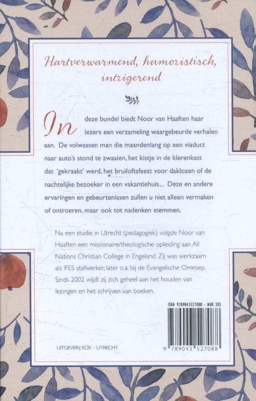 Achterkant van De viaductman
