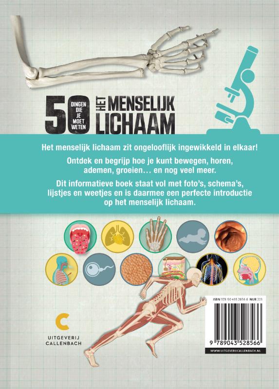 Achterkant van Het menselijk lichaam