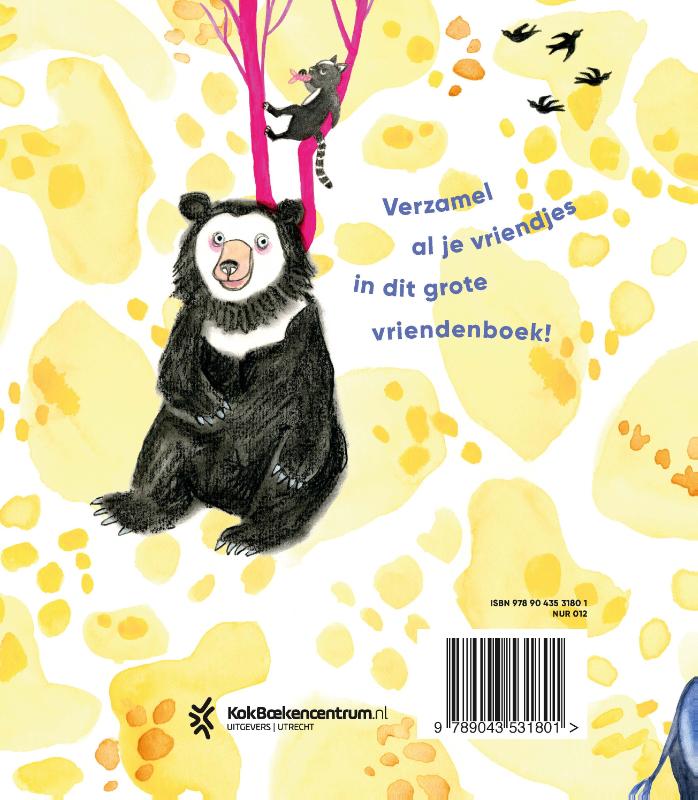 Achterkant van Mijn grote vriendenboek