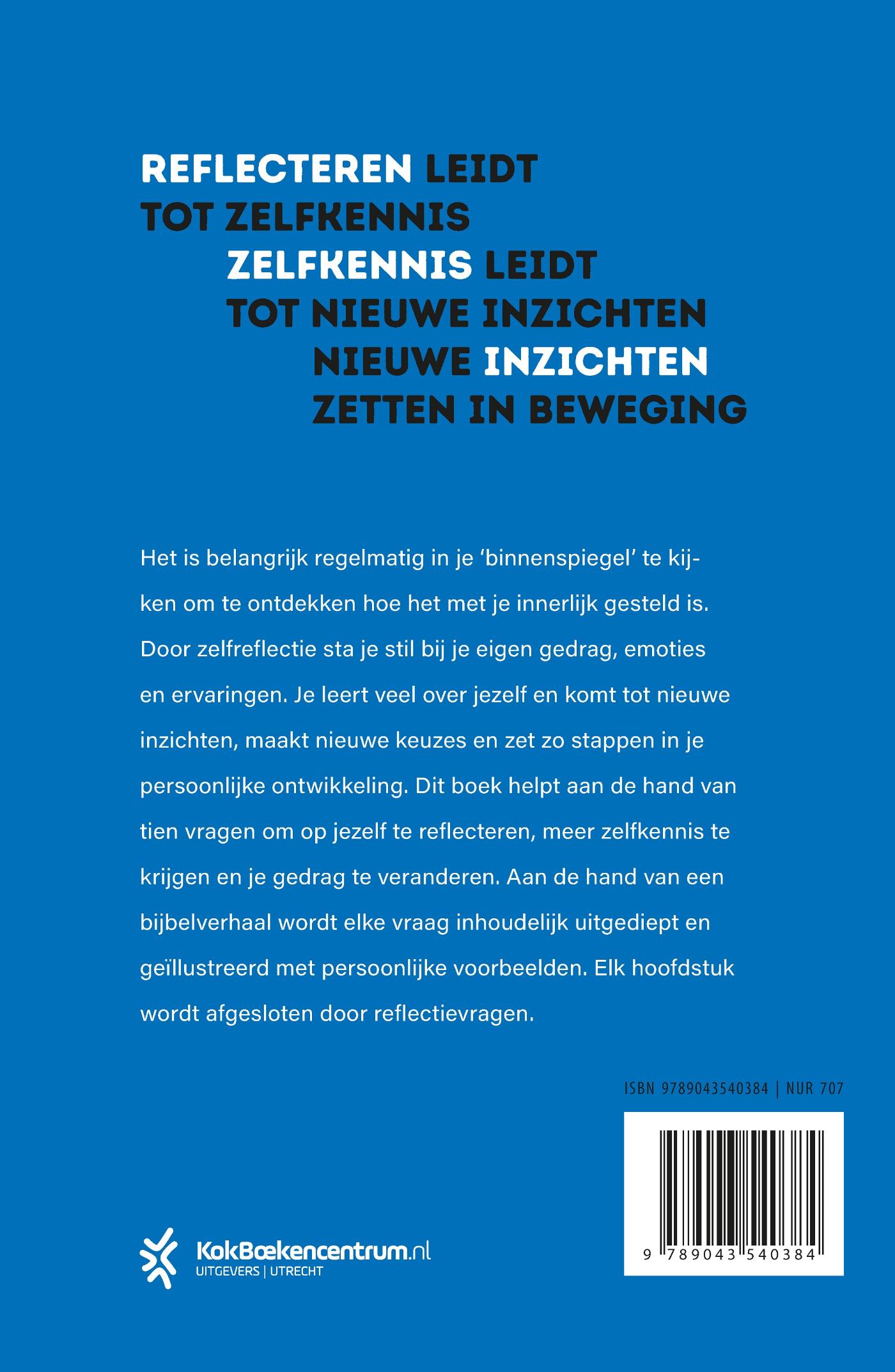 Achterkant van Binnenspiegel
