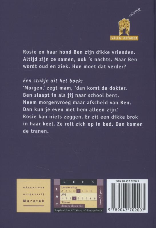 Achterkant van Stille pijn