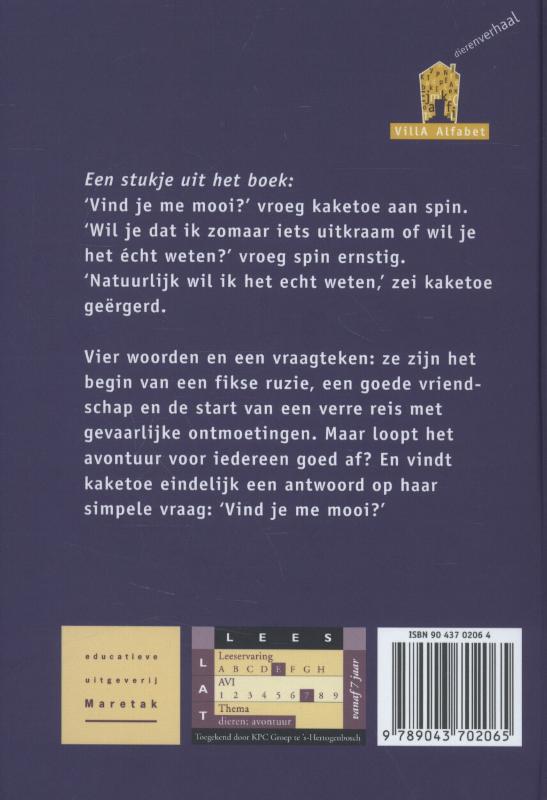 Achterkant van De vliegende spin