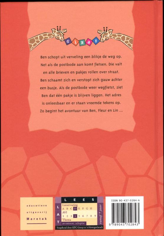 Achterkant van Het geheime pakje
