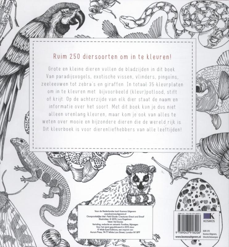 Achterkant van Dieren kleuren