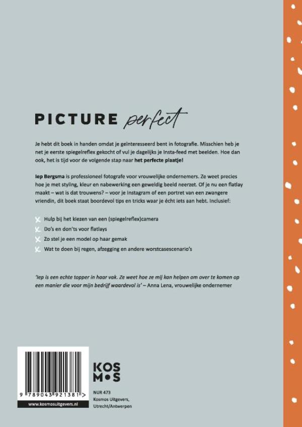 Achterkant van Picture perfect