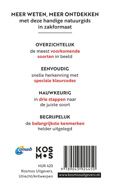 Achterkant van Paddenstoelen