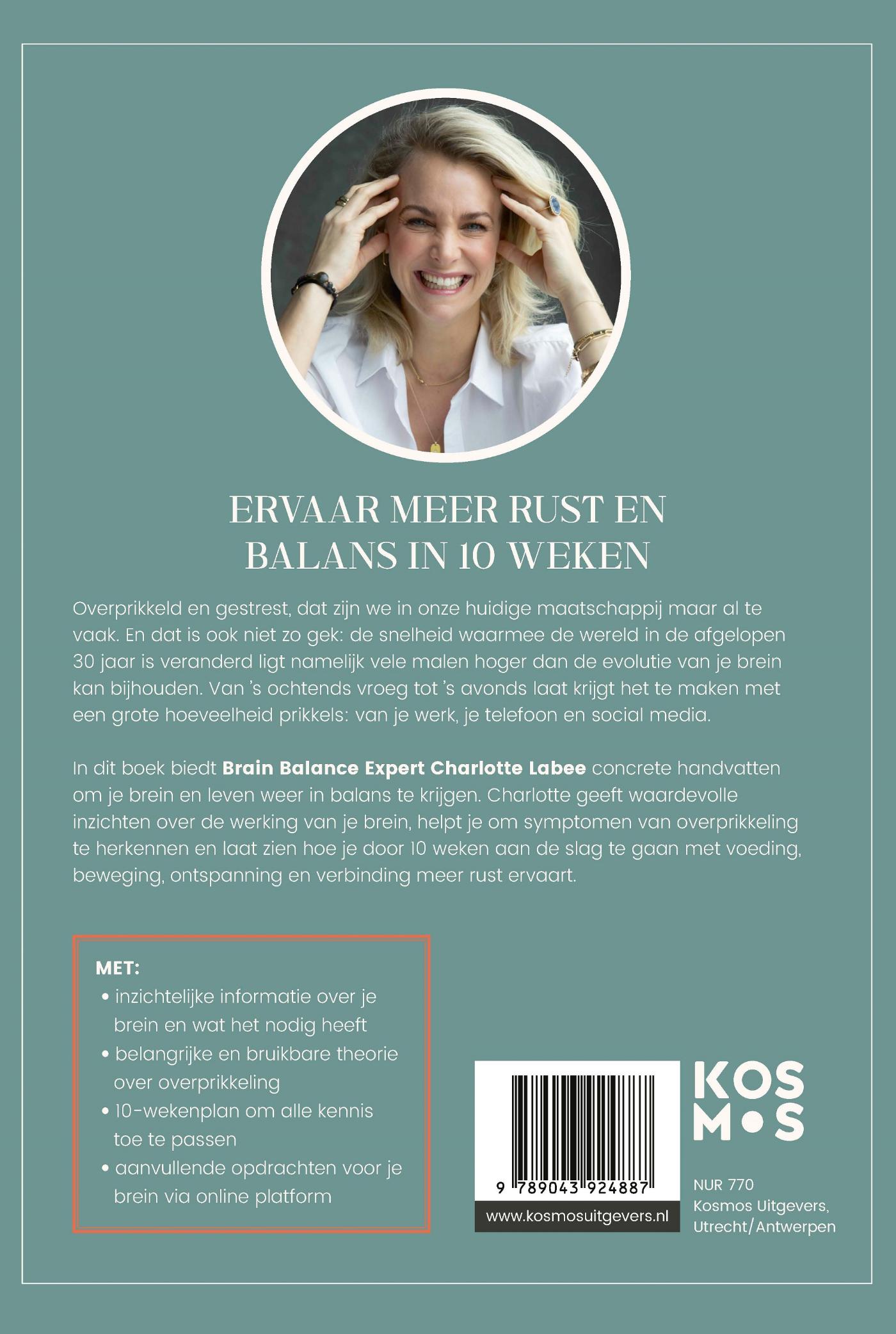 Achterkant van Overprikkeld Brein