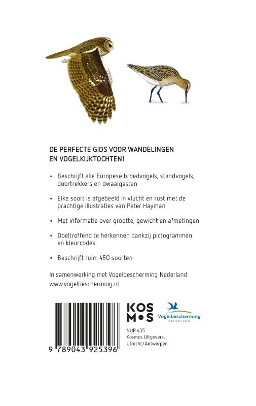 Achterkant van Hayman's Zakgids Vogels