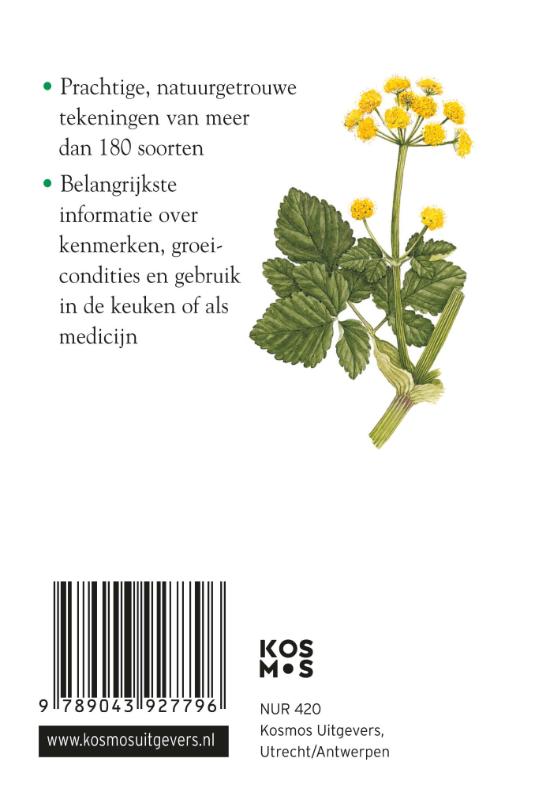 Achterkant van Compactgids Kruiden