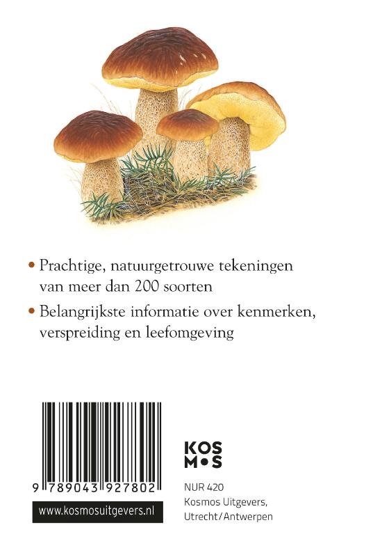 Achterkant van Compactgids Paddenstoelen