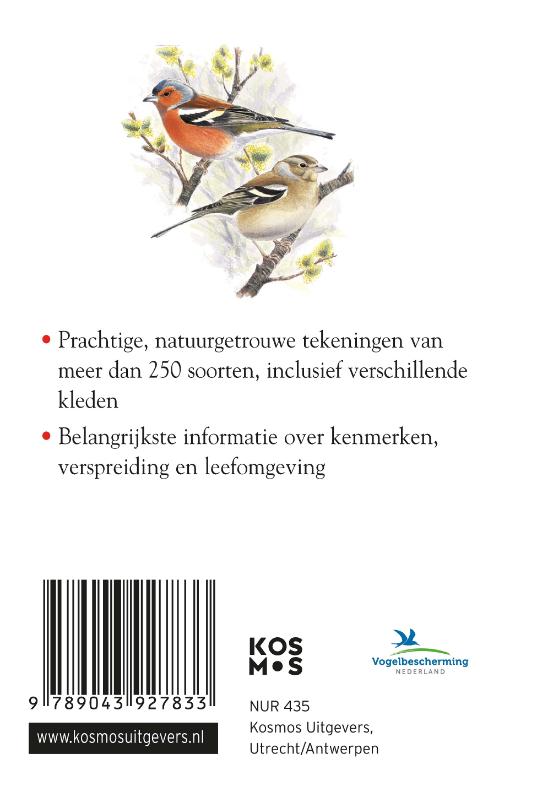 Achterkant van Compactgids Vogels