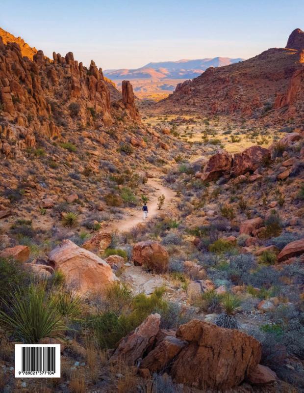 Achterkant van Wanderlust - USA