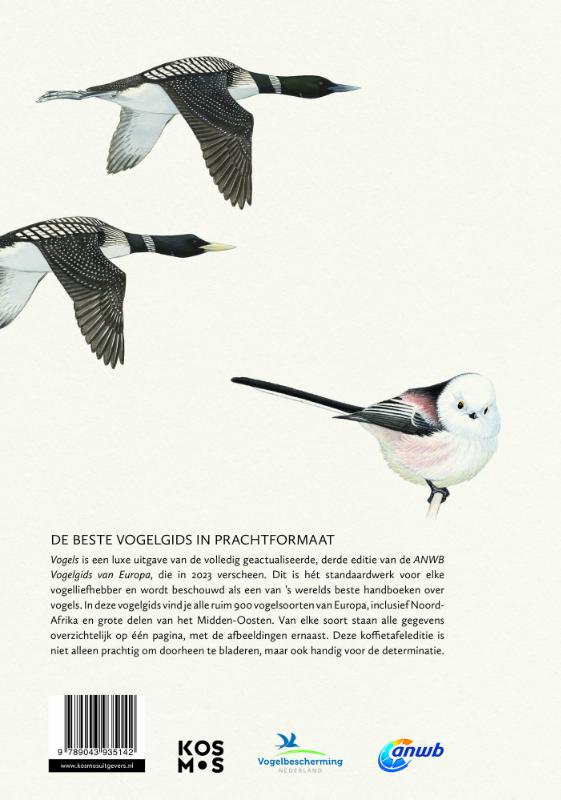 Achterkant van Vogels