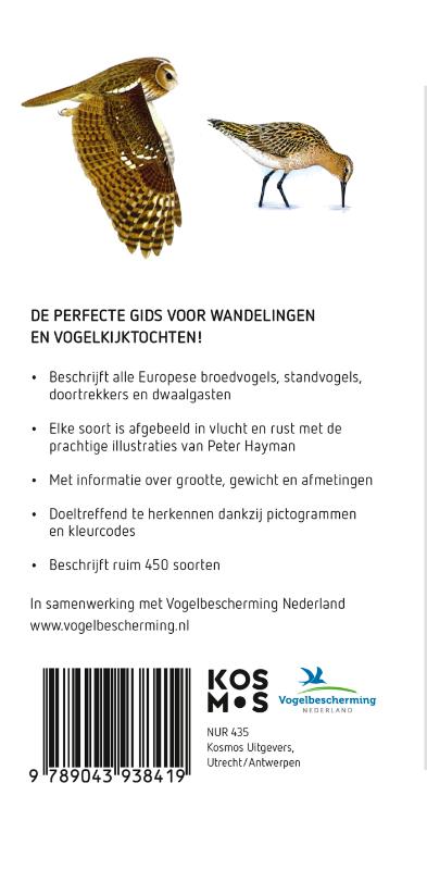 Achterkant van Hayman's zakgids Vogels