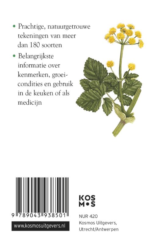 Achterkant van Compactgids Kruiden