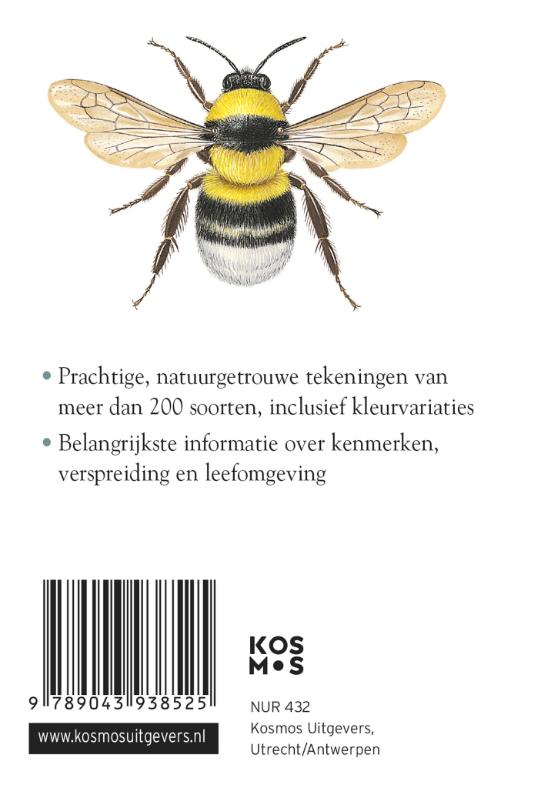 Achterkant van Compactgids Insecten
