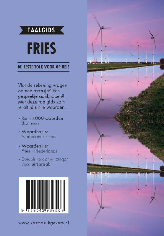 Achterkant van Fries