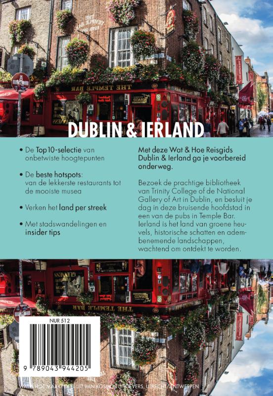 Achterkant van Dublin en Ierland