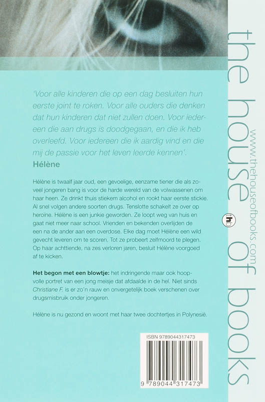 Achterkant van Het begon met een blowtje