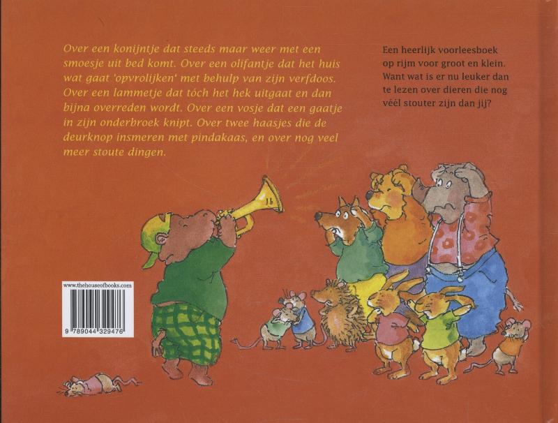 Achterkant van Het stoute dingen boek