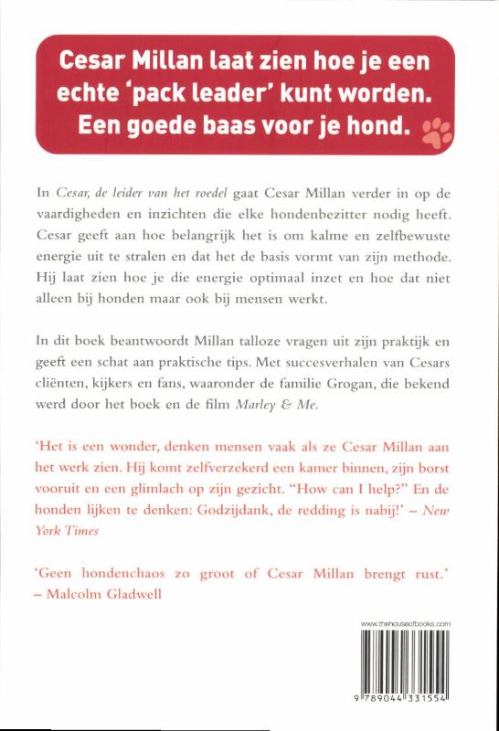 Achterkant van Cesar, de leider van het roedel