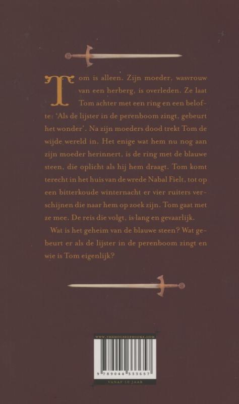 Achterkant van Het geheim van de blauwe steen