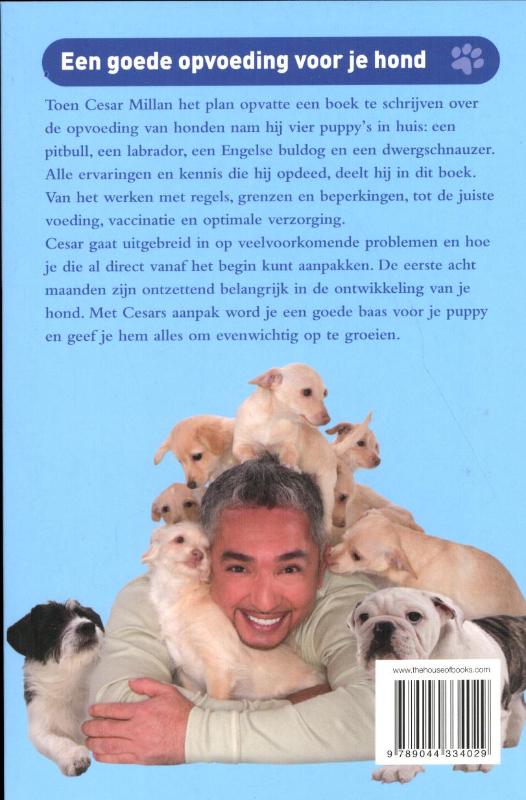 Achterkant van Cesars aanpak voor puppy's