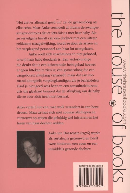 Achterkant van Het ziet er allemaal goed uit