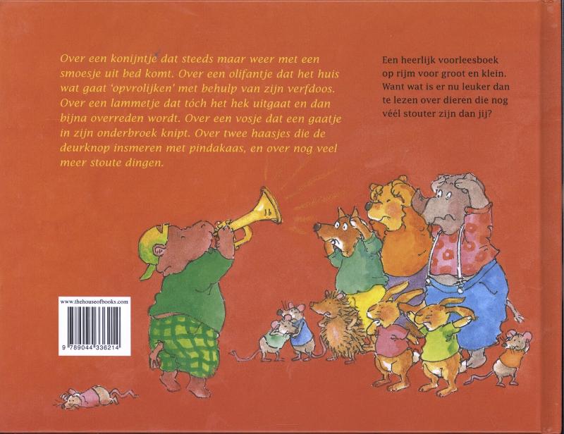 Achterkant van Het stoute dingenboek voor peuters en kleuters
